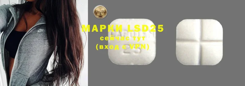 дарк нет телеграм  Кашин  LSD-25 экстази кислота 